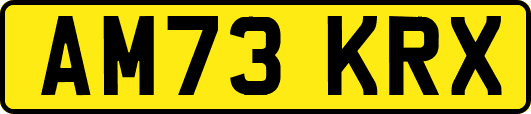 AM73KRX