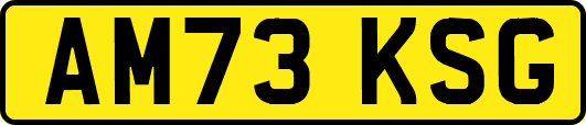 AM73KSG