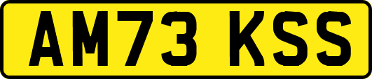 AM73KSS