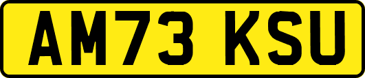 AM73KSU