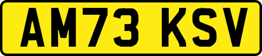 AM73KSV
