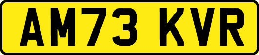 AM73KVR