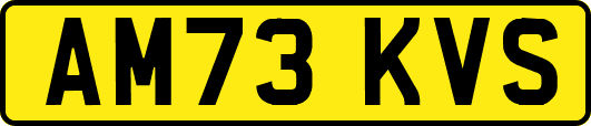 AM73KVS