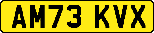 AM73KVX