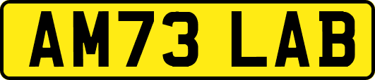AM73LAB