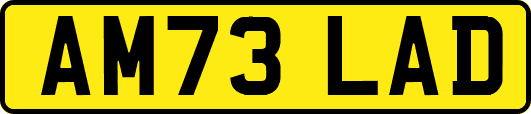 AM73LAD