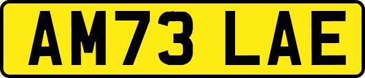 AM73LAE