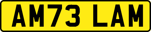 AM73LAM