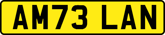 AM73LAN