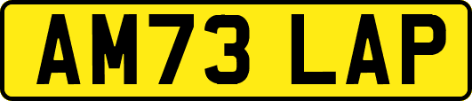AM73LAP