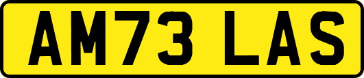 AM73LAS