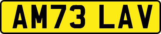 AM73LAV