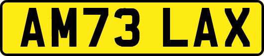 AM73LAX