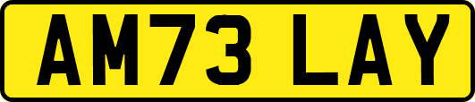 AM73LAY