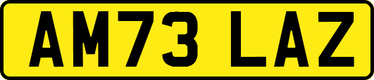 AM73LAZ