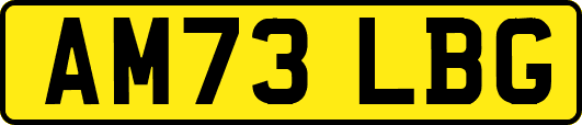AM73LBG