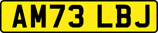 AM73LBJ