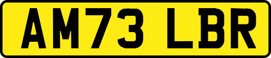 AM73LBR