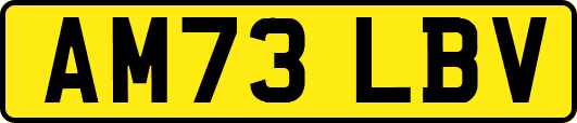 AM73LBV