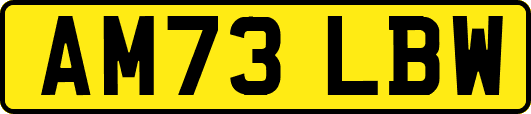 AM73LBW
