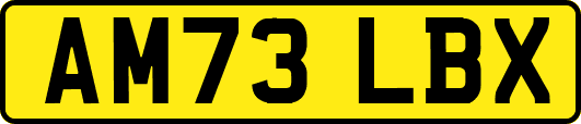 AM73LBX