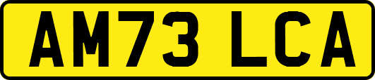 AM73LCA