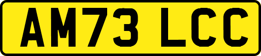 AM73LCC