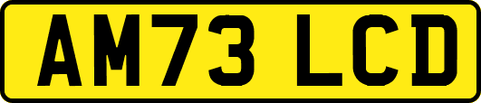 AM73LCD