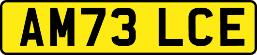 AM73LCE
