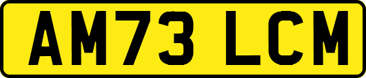 AM73LCM