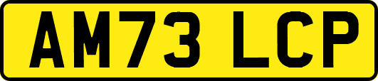 AM73LCP