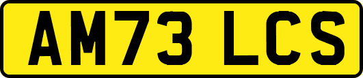 AM73LCS