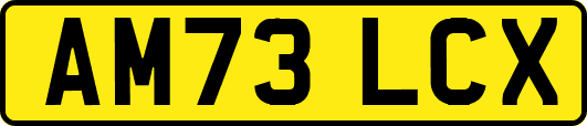 AM73LCX