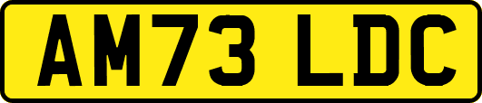 AM73LDC