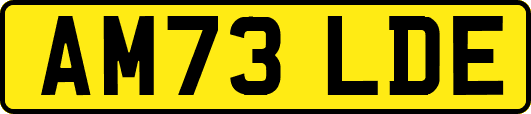 AM73LDE
