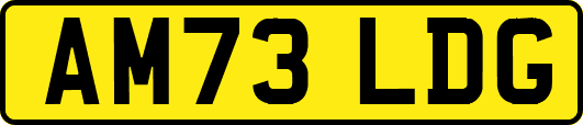 AM73LDG