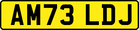 AM73LDJ