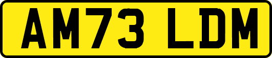 AM73LDM