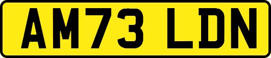 AM73LDN