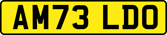 AM73LDO