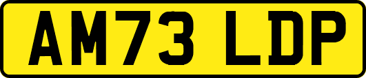 AM73LDP