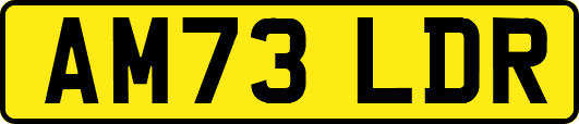 AM73LDR