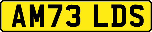 AM73LDS