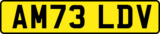 AM73LDV