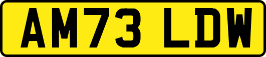 AM73LDW