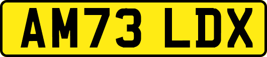 AM73LDX