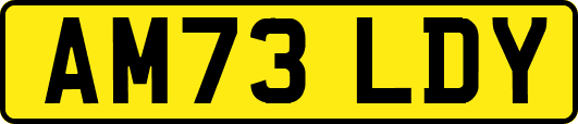 AM73LDY