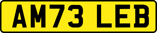 AM73LEB
