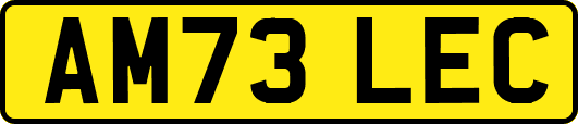 AM73LEC