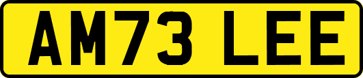 AM73LEE